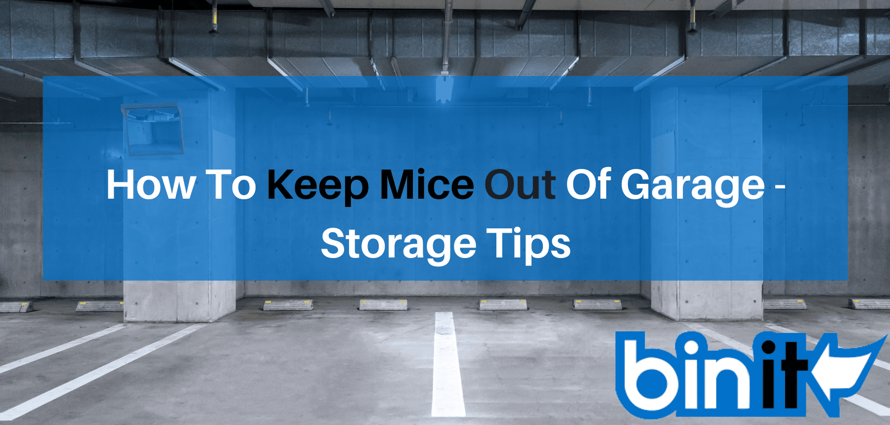 https://bin-it.com/wp-content/uploads/2022/02/How-To-Keep-Mice-Out-Of-Garage-Storage-Tips.png